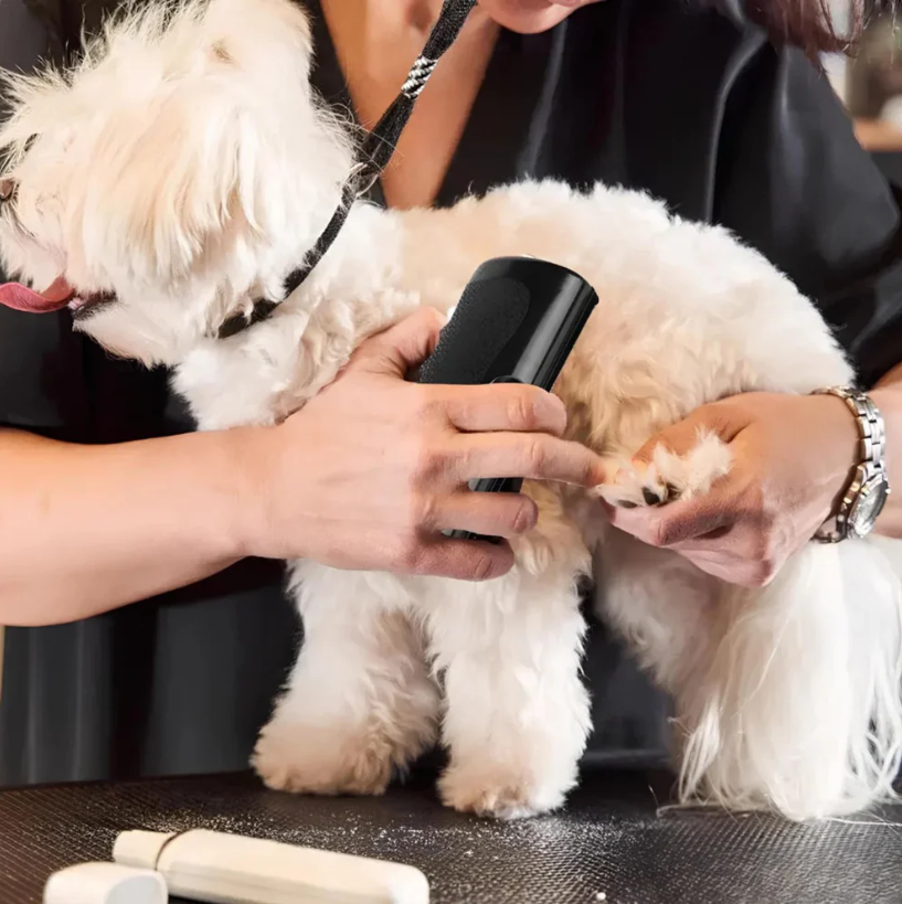 La Brosse Magique pour chien