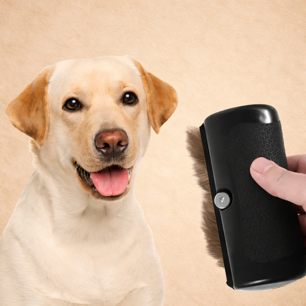 La Brosse Magique pour chien