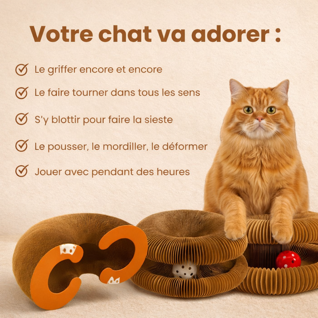 Griffoir interactif pour chats