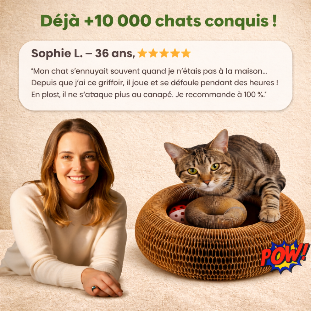 Griffoir interactif pour chats