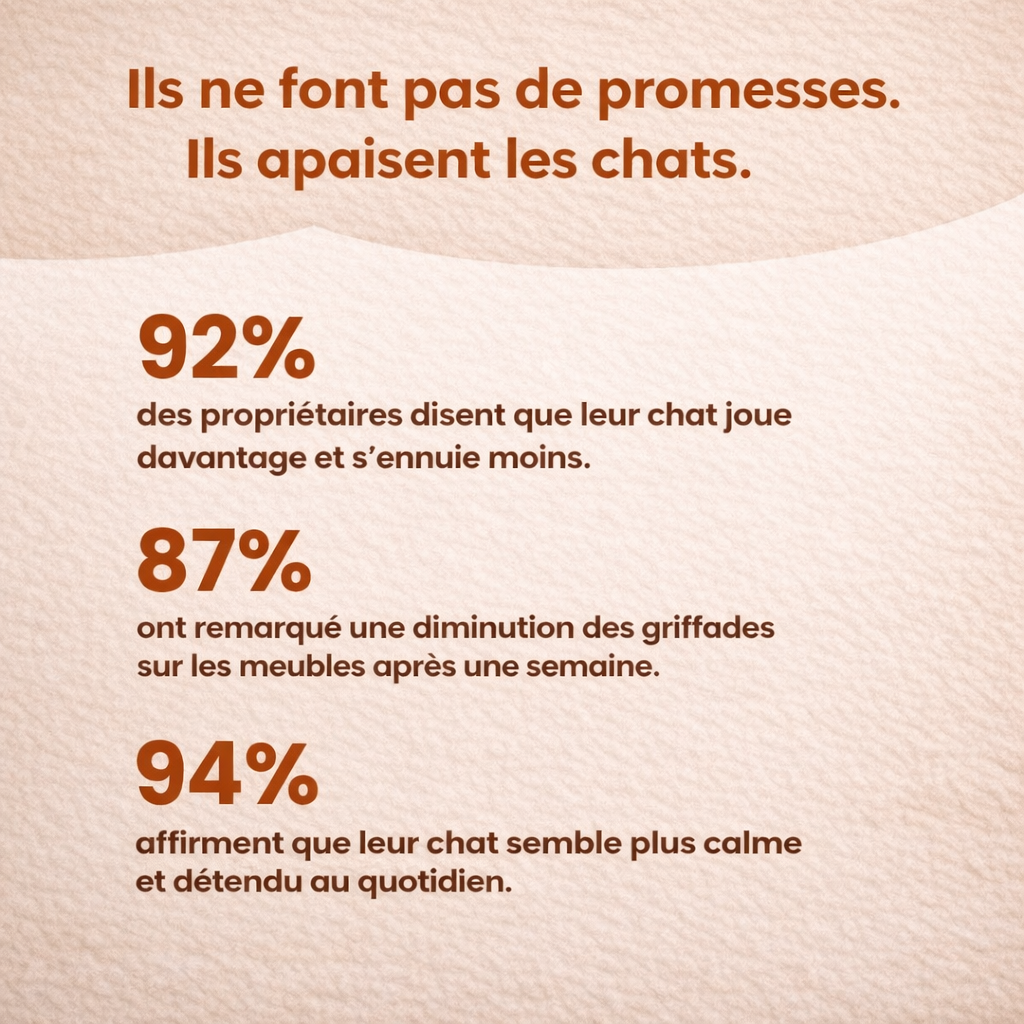 Griffoir interactif pour chats