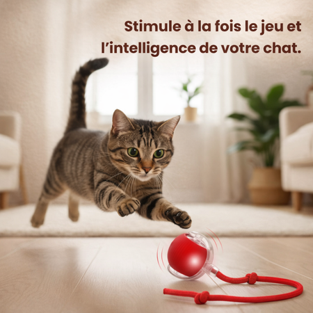 CrazyBall - Balle Interactive