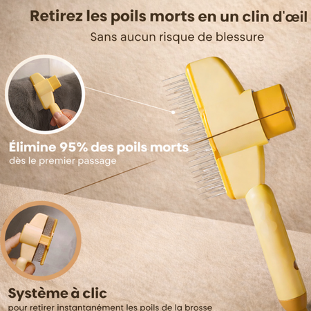 Brosse anti-poil pour chat