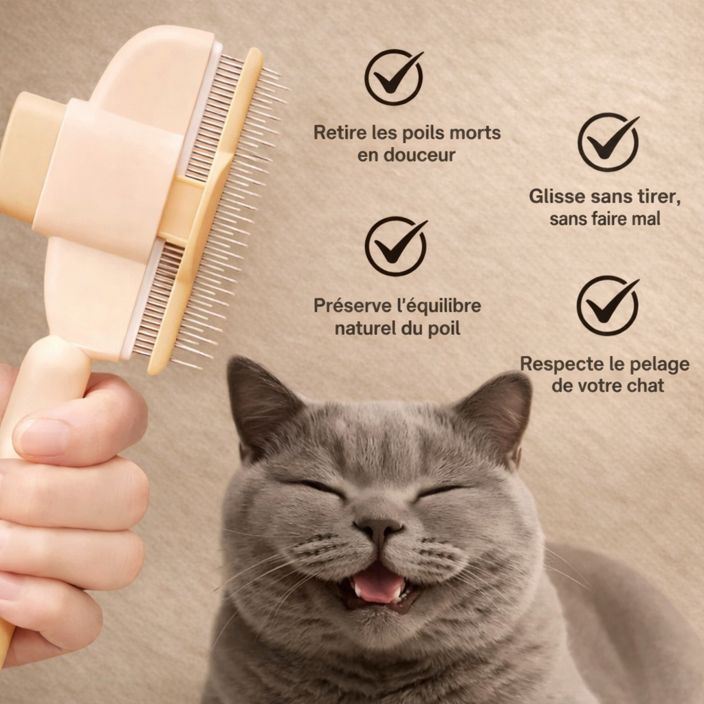 Brosse anti-poil pour chat