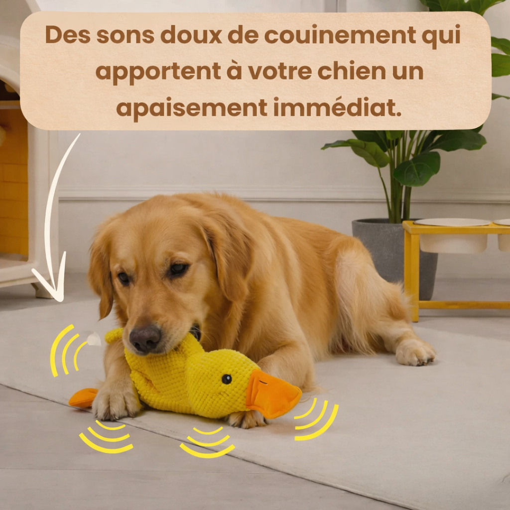 Canard anti-stress