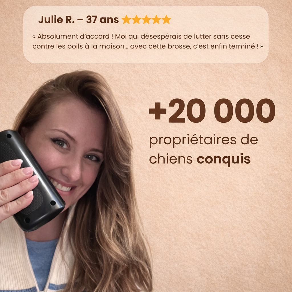 La Brosse Magique pour chien