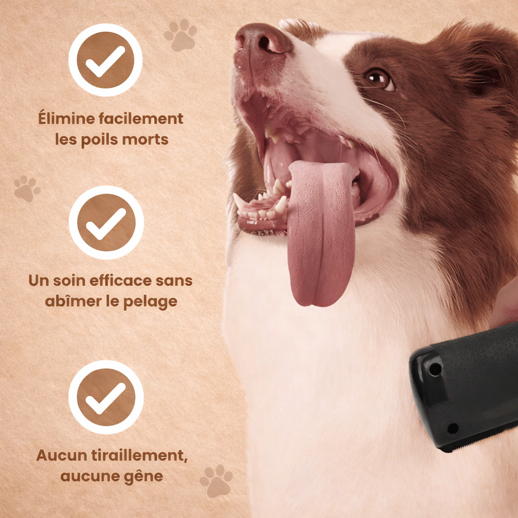 La Brosse Magique pour chien