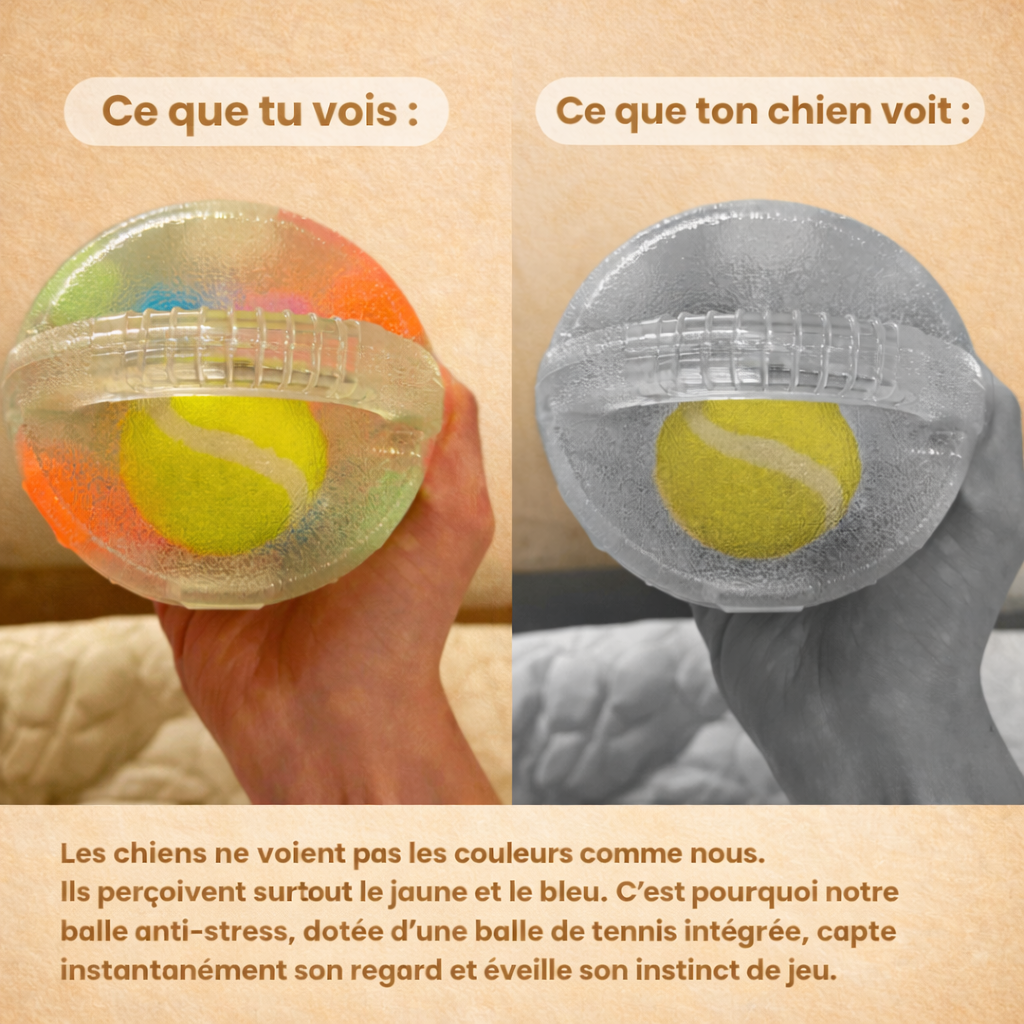 DogPlay - Balle anti-stress