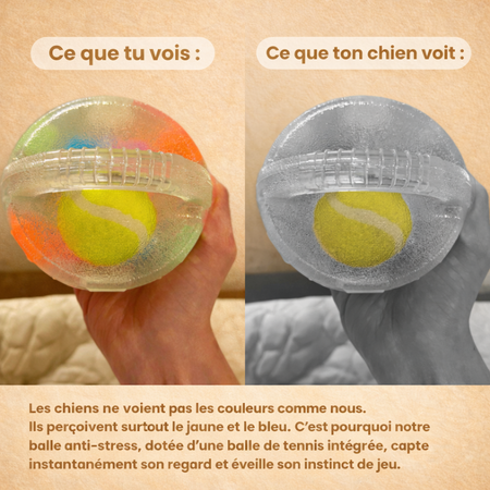 DogPlay - Balle anti-stress